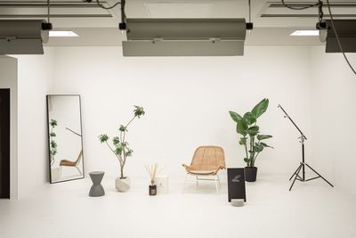 撮影に使える小物や観葉植物 - studio Droitの設備の写真