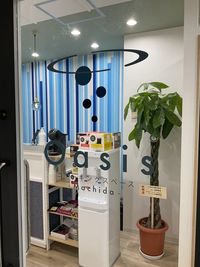 ４階エレベーターから出てすぐに左手に扉があります - Oasisコワーキングスペース町田 町田駅徒歩４分完全個室（会議室２：２７インチモニター付）の入口の写真