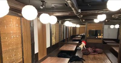 関内駅前セルテのパーティルーム🥂妖怪が出そうな雰囲気👻飲み会にも ママ会にも！利用人数に応じた料金設定！ - NATULUCK関内セルテ