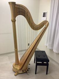 グランドハープ／青山ハープのORPHEUS47、Model：47A(N)です。 - 天神センター ハープのレンタル部屋【P1】の室内の写真