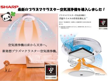 照明器具にプラズマクラスター空気清浄機内臓タイプを導入 - 恵比寿パンダの会議室 恵比寿徒歩1分★明るくて清潔なレンタルスペースの室内の写真