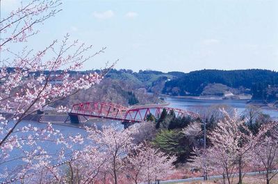 近くに志津湖もあります！ - 千葉県長生郡長柄町｜緑に囲まれた特別空間 緑に囲まれたモダン空間｜撮影＆ビジネス向け完全個室の貸し会議室のその他の写真