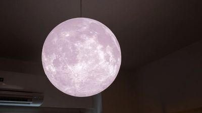 Moon名古屋 🌕月の見えるリラックススペース！🌕｜Moon名古屋 [63]の室内の写真