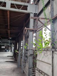 野崎廃工場の室内の写真