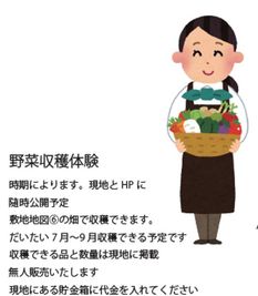 夏限定。野菜収穫体験別料金。収穫できる野菜と数量・金額は現地やHPに随時更新します - みどう貸切キャンプ場のその他の写真