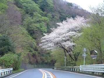 道が借りれる？伊豆の海と箱根の山を繋ぐ 「湯河原パークウェイ」と「バイカーズパラダイス南箱根」で貸切撮影や試乗イベントが可能に！ - 湯河原パークウェイ+バイカーズパラダイス南箱根