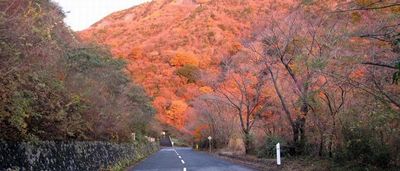 紅葉も美しい観光道路 - 湯河原パークウェイ+バイカーズパラダイス南箱根 道路貸切　日中9時間　5,8,11月の室内の写真